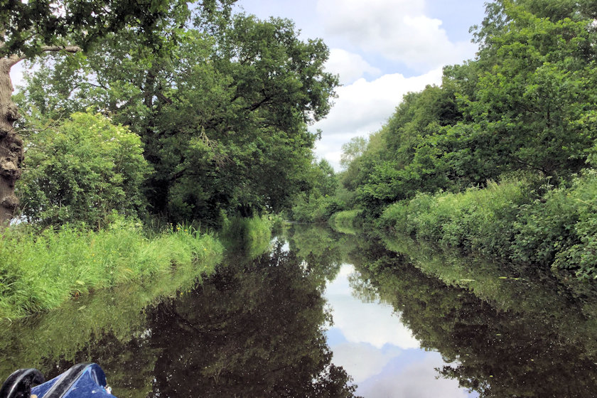 Along the Monty photograph